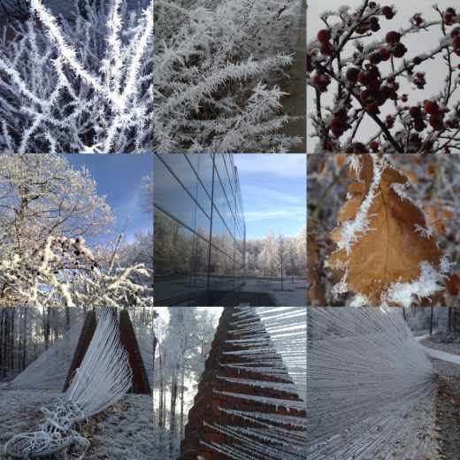 collage1_520.jpg