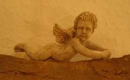 Engel