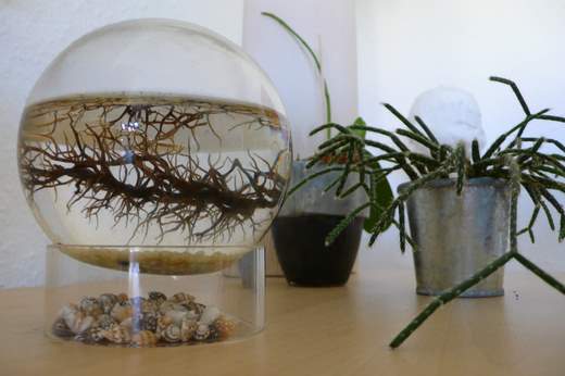 EcoSphere