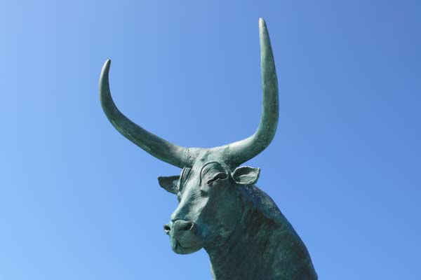 Stier