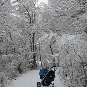 Winter in Ulm - I