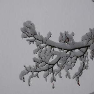Winter in Ulm - II