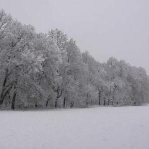Winter in Ulm - IV